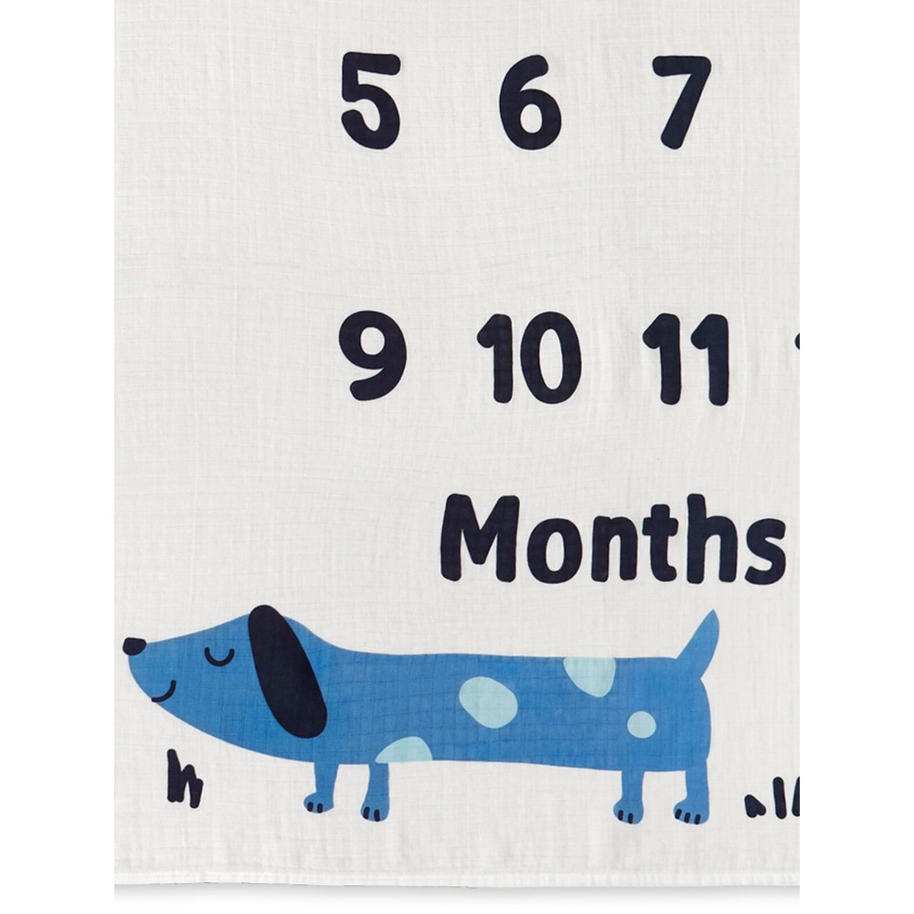 Gerber Baby Boy 2 Piece Monthly Milestone Blanket And Frame Set Blue Dogs NEW - Picture 9 of 10